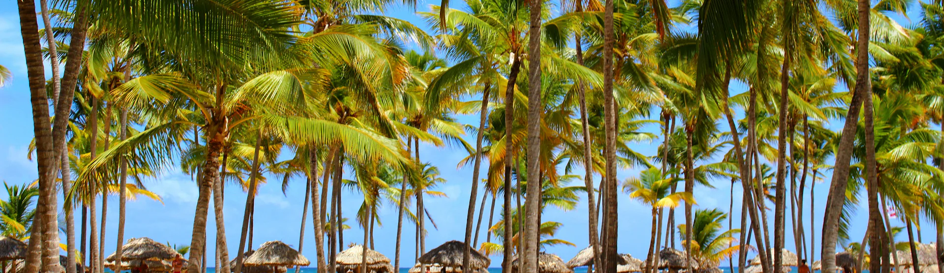 Kryssning från Tampa