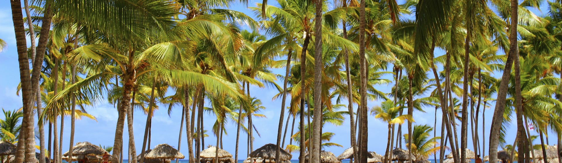 Kryssning från Tampa