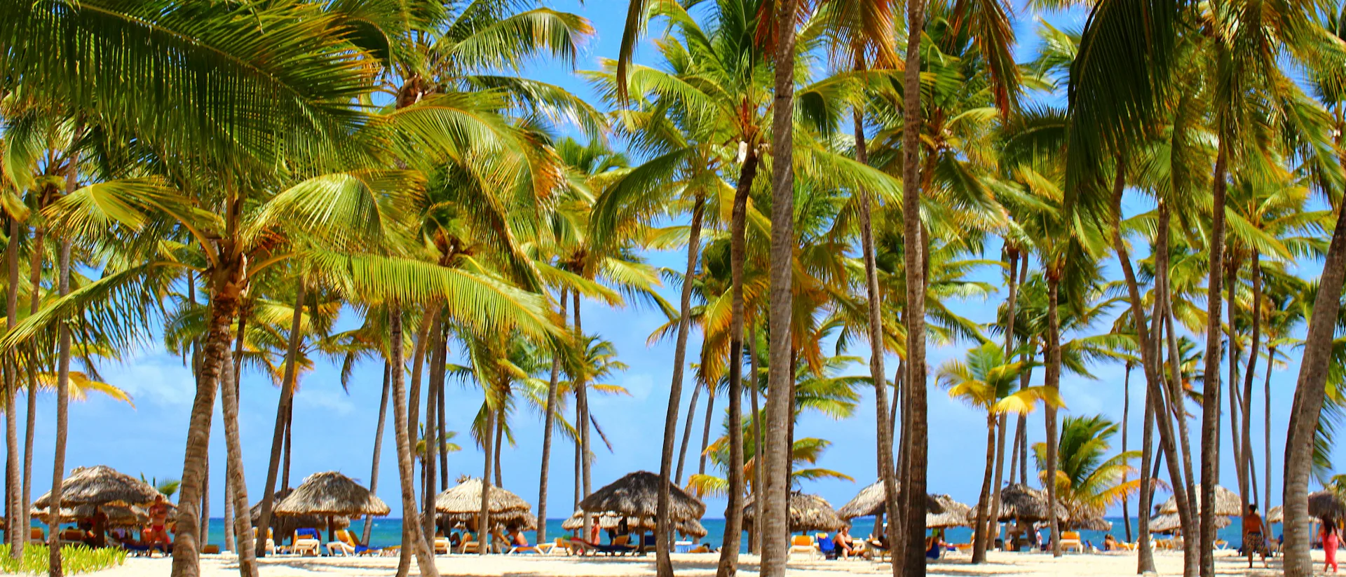 Kryssning från Tampa