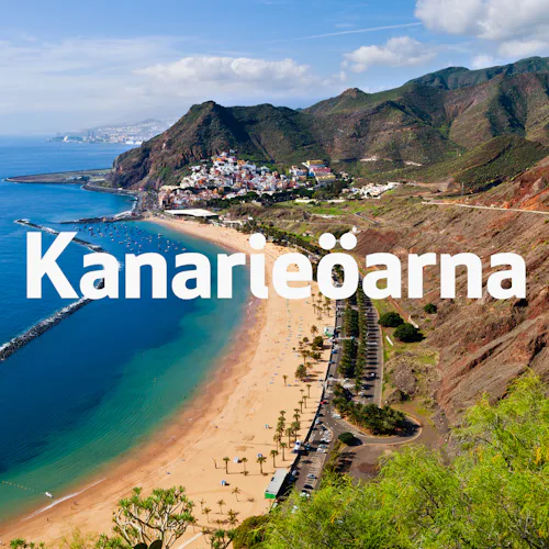 Bilden visar en vacker strand på Teneriffa